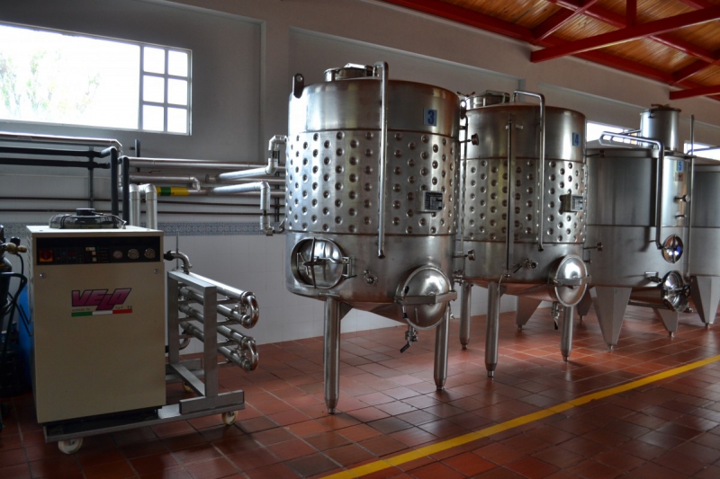 cave-SAORGE-min_wine_production_cantine_winery_drink_alcohol_vine_beverage-902036